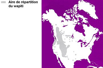 La répartition du wapiti