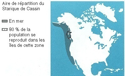 Aire de répartition du Starique de Cassin