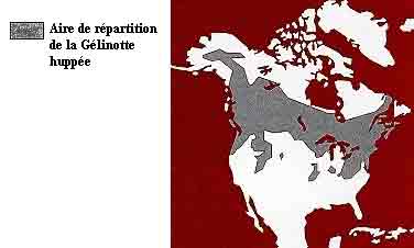 La répartition de la Gélinotte huppée