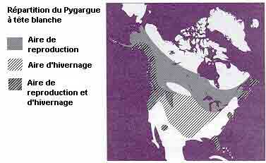 La répartition du Pygargue à tête blanche