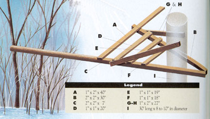 Great Blue Heron nest schematics