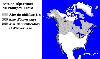 La répartition des plongeons