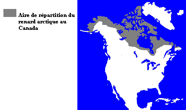 La répartition du renard arctique