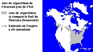 La répartition du L’écureuil gris de l’Est