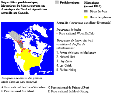 La répartition du bison