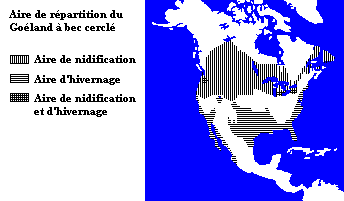 La répartition du Goéland à bec cerclé