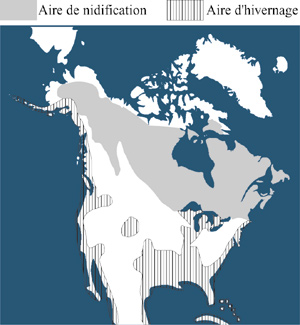 La répartition du Goéland argenté