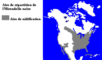 La répartition de l’Hirondelle noire