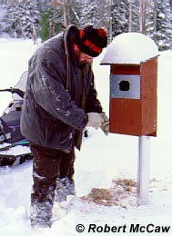 Man checking on a nesting box