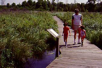 Famille dans des terres humides sur une promenade de bois