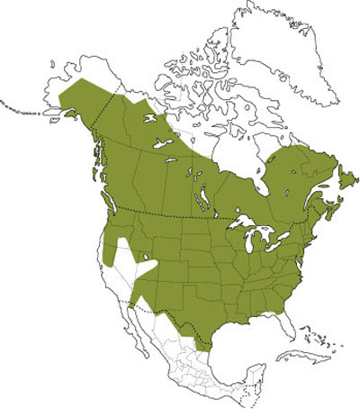 Répartition du castor