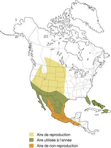 Répartition de la Chevêche des terriers