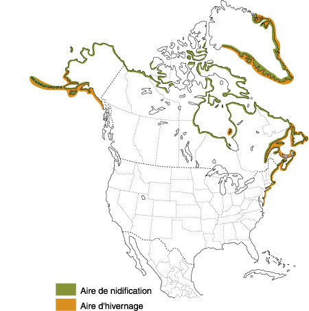 La Répartition de l'Eider à duvet