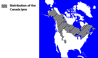 Distribution of the Canada Lynx