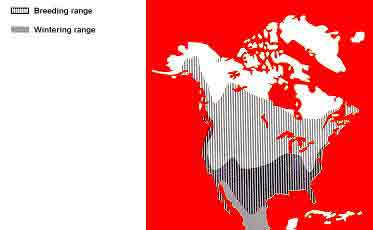 Killdeer Breeding and Wintering Ranges