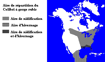 La répartition du Colibri à gorge rubis