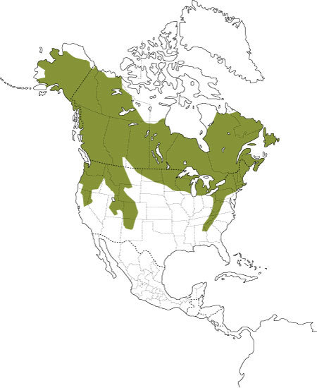 Répartition du lièvre d'Amérique