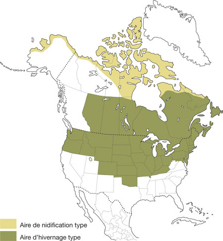 Aire de répartition du Harfang des neiges