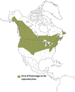 Répartition de la Mésange à tête noire