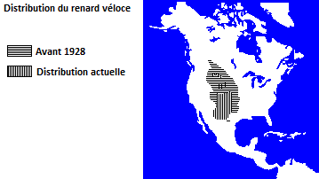 Répartition du renard véloce