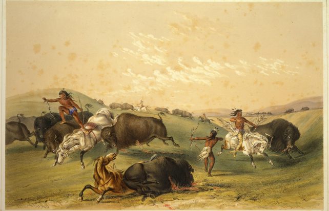 Indigenous people hunting bison